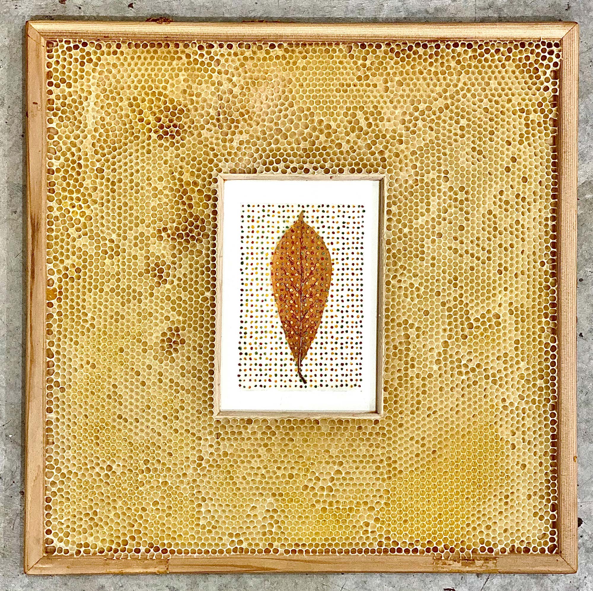 Bees Embed Ava Roth’s Organic Mixed-Media Artworks in Waxy Honeycomb