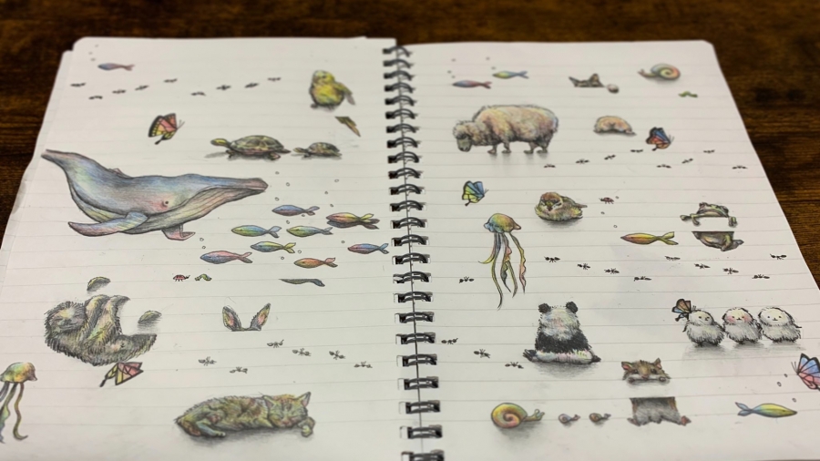 轉發幾次就畫幾隻！北海道藝術家以筆記本線條為靈感的可愛動物插畫