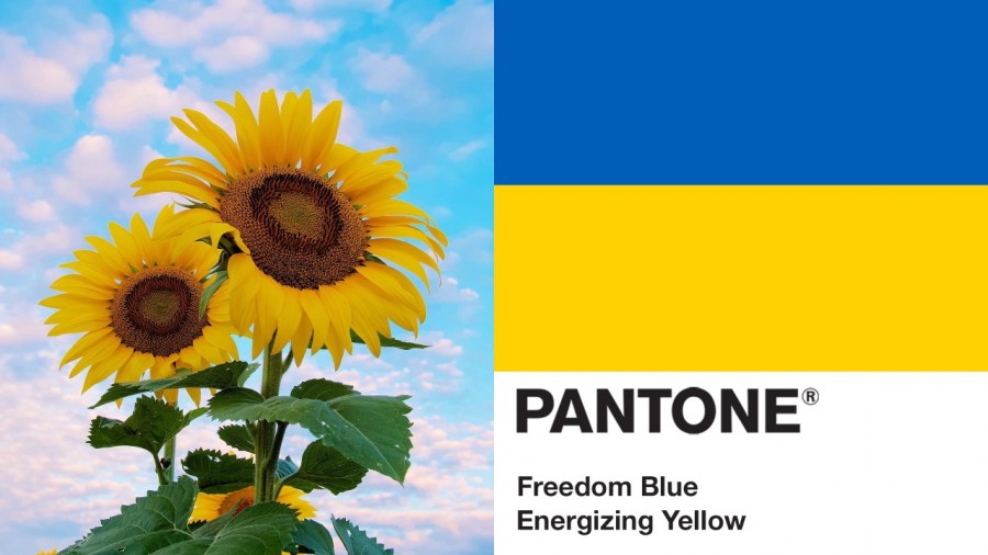 專屬烏克蘭的 Pantone 色票！國旗自由藍、活力黃，喚起對戰爭和人道主義危機的關注