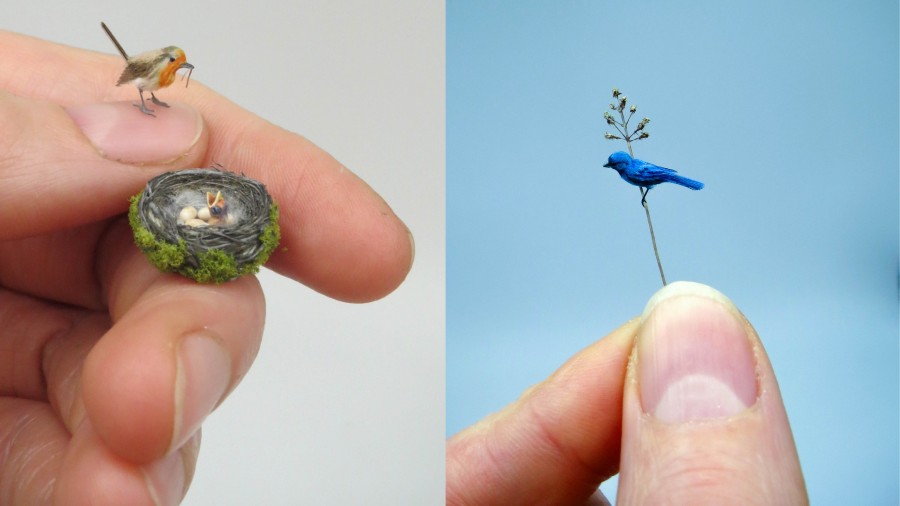 指尖上的動物生態系！熱愛袖珍藝術的生物學家，細膩手法與工藝打造微縮逼真細節