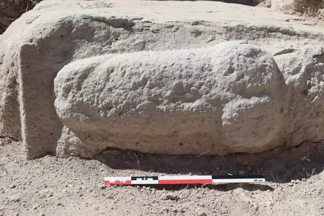 Massive Roman Phallus Relief Carving Uncovered inSpain