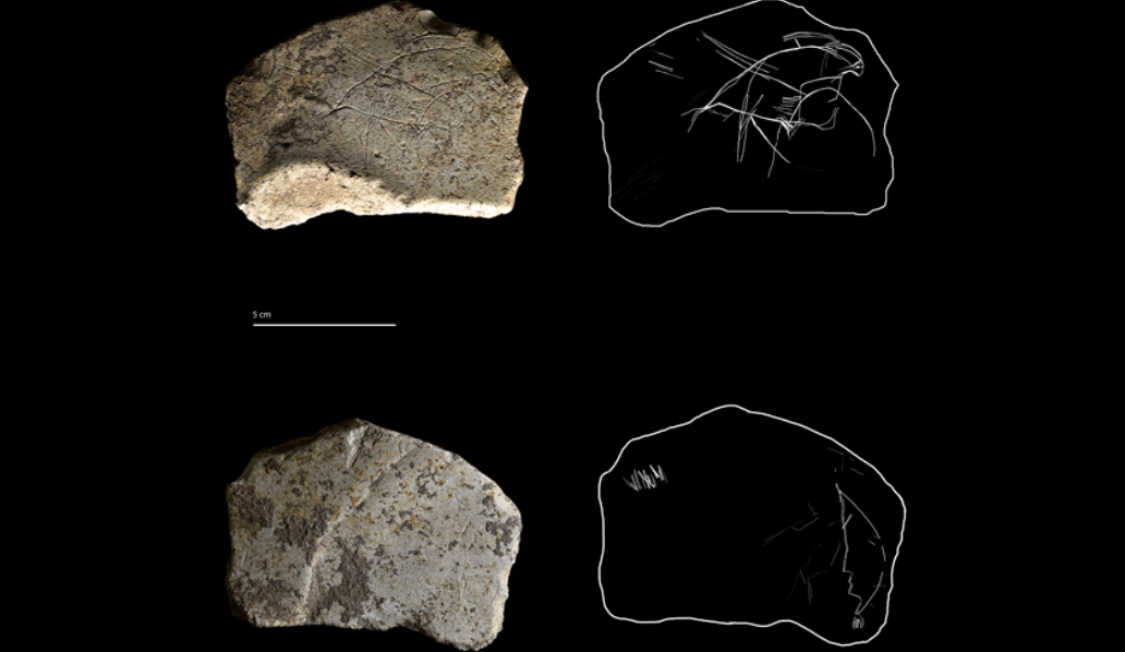 14,000-Year-Old Engravings by ‘Technically Skilled’ Artisan Found inSpain