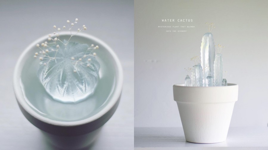 如水一般透明！日本藝術家的「空白植物店」以樹脂為媒材，手工創作絕美透明仙人掌