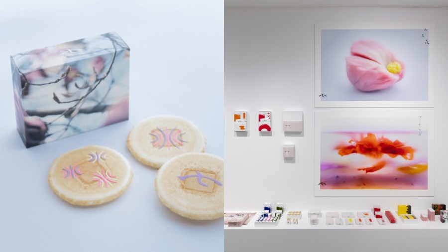 攜手《海街日記》攝影師瀧本幹也！京都和菓子老舖 4 款煎餅包裝視覺，將四季更迭詩意呈現