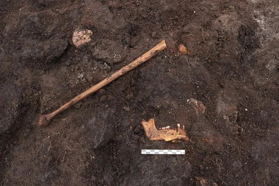 A Human ‘Bog Body’ from a 5,000-Year-Old Ritual Sacrifice Has Been Discovered in DanishBog