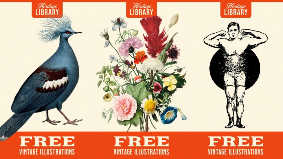 免費下載！德國設計公司釋出 270+ 復古插圖，從花卉、動物到人物等免註冊就能使用