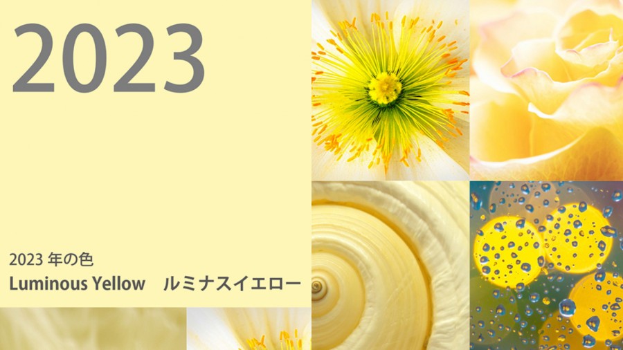 日本色彩協會 JAFCA 公布 2023 色彩！「Luminous Yellow」如陽光般的暖黃，寓意治癒、充滿希望