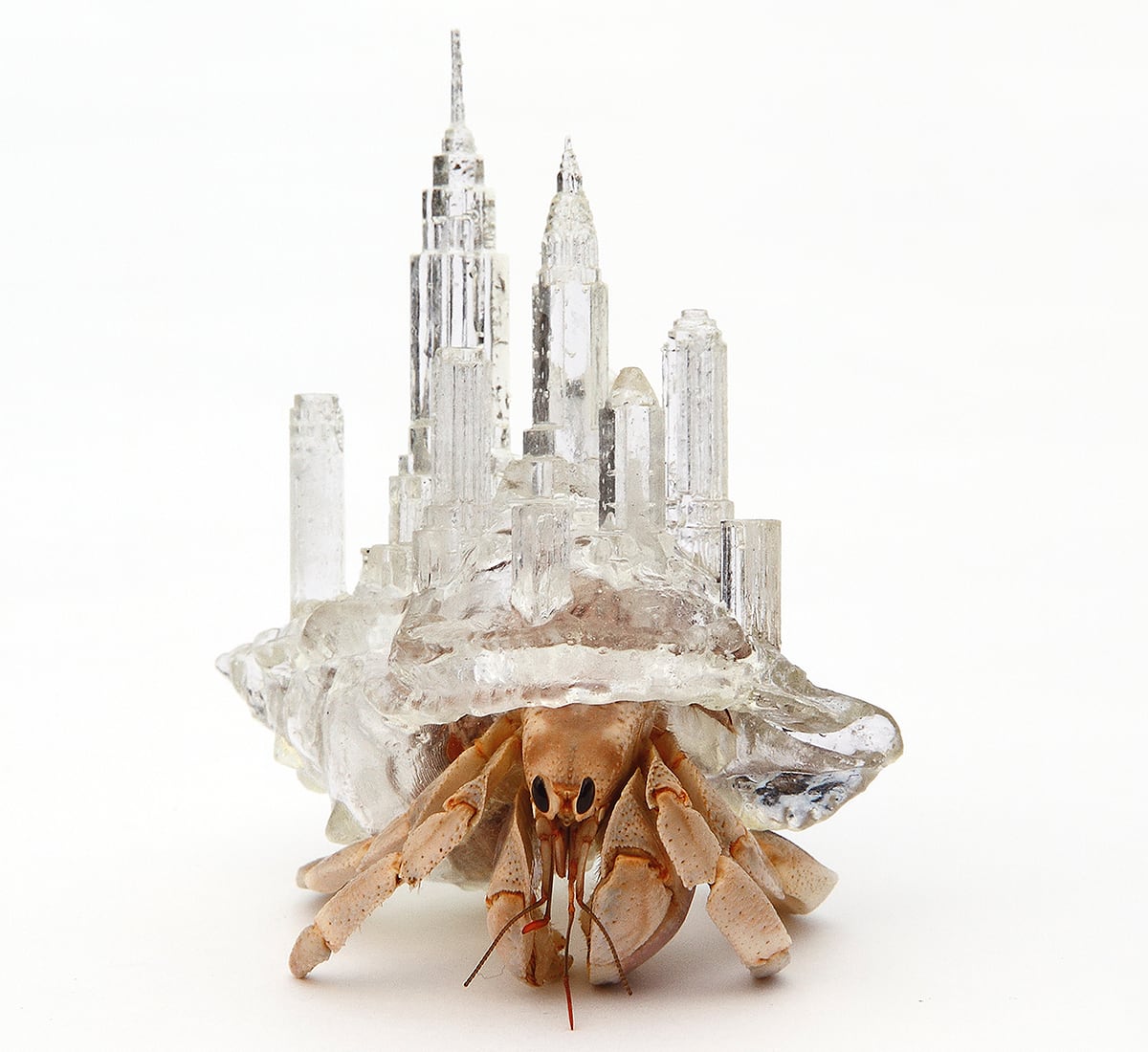 Global Architecture Rises from Resin Hermit Crab Shells in Aki Inomata’s Consideration of Home and Borders