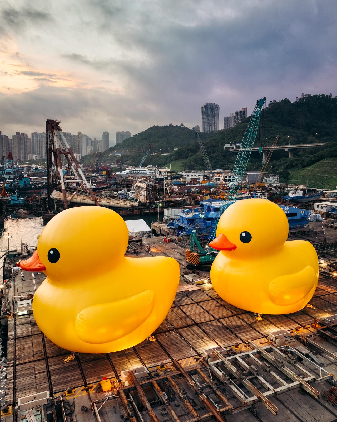 It Takes Two to Tango: Florentijn Hofman’s ‘Double Ducks’ Set Sail in Hong Kong’s Victoria Harbour