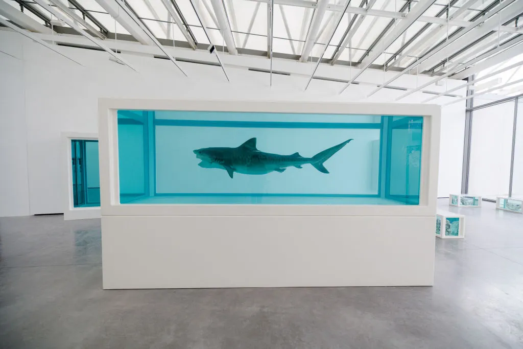 Damien Hirst Formaldehyde Works Under Scrutiny, Hong Kong Artists Brace for New Security Law, Banksy Mural Vandalized, and More: Morning Links for March 20, 2024