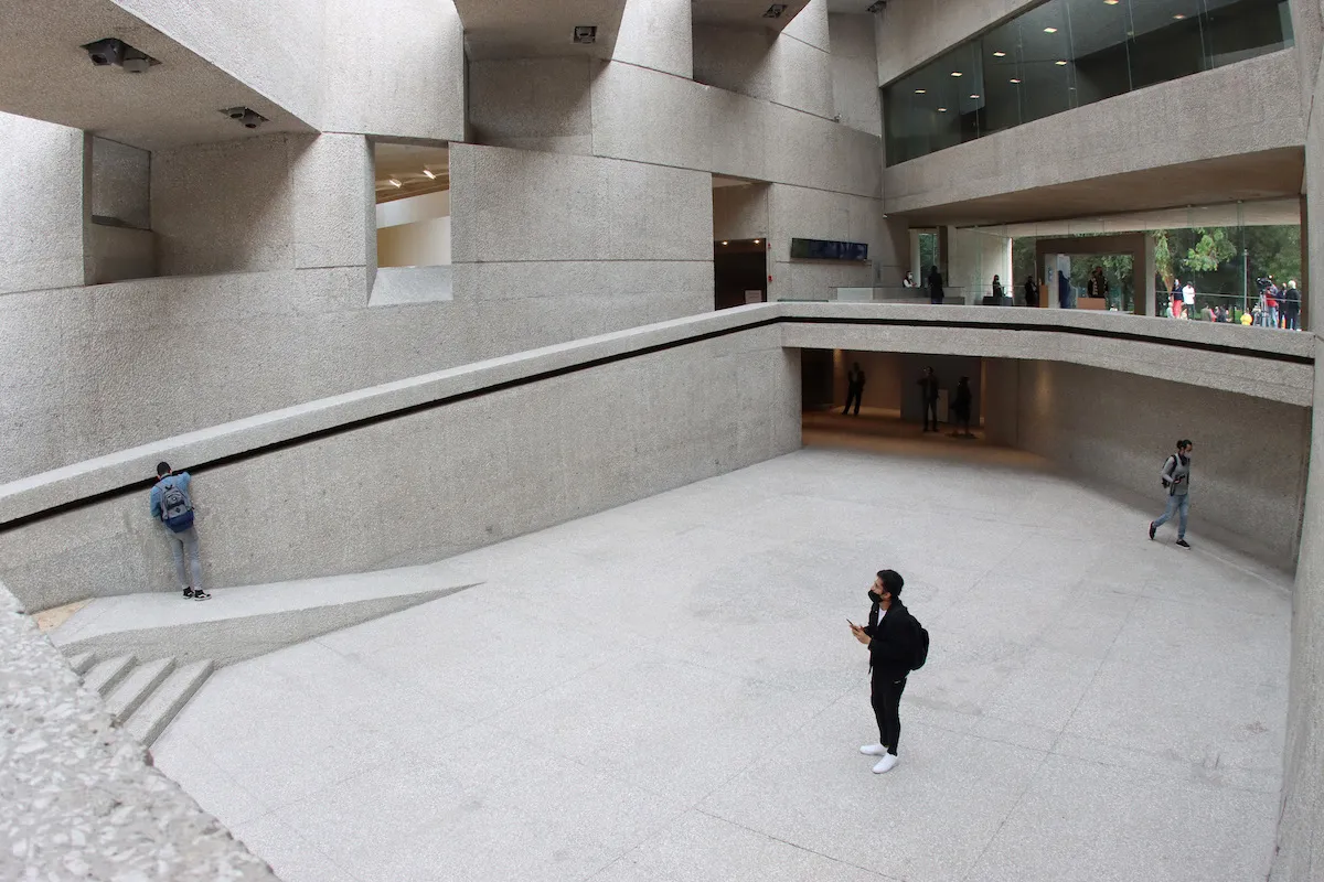 Performance Artwork Featuring Live Dogs Generates Outcry and Sparks Environmental Rights Inquiry in Mexico City