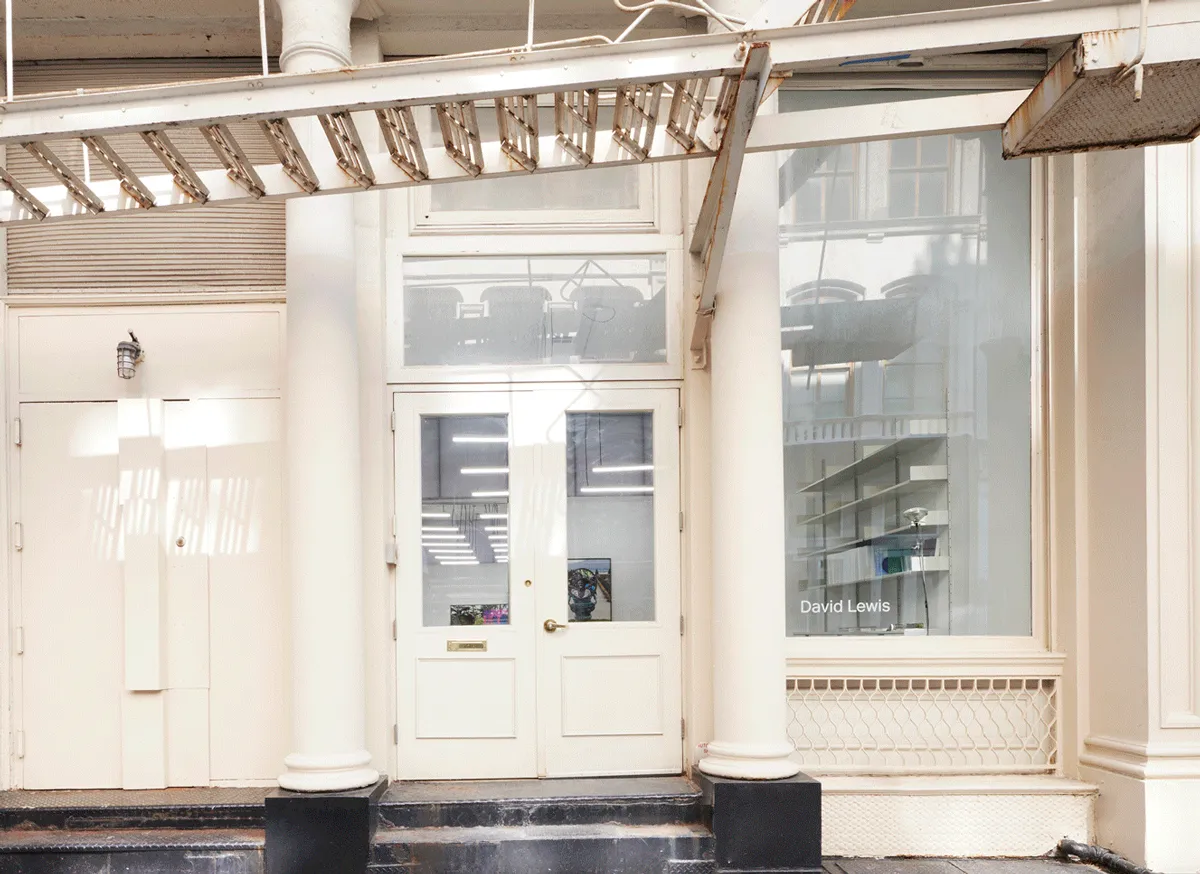 Beloved New York Gallery David Lewis to Close After 11 Years