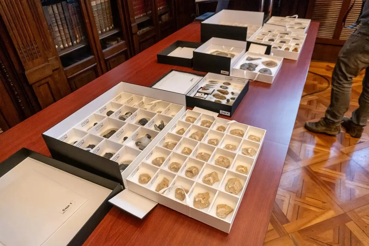 Chilean Authorities Return 117 Fossils to Morocco