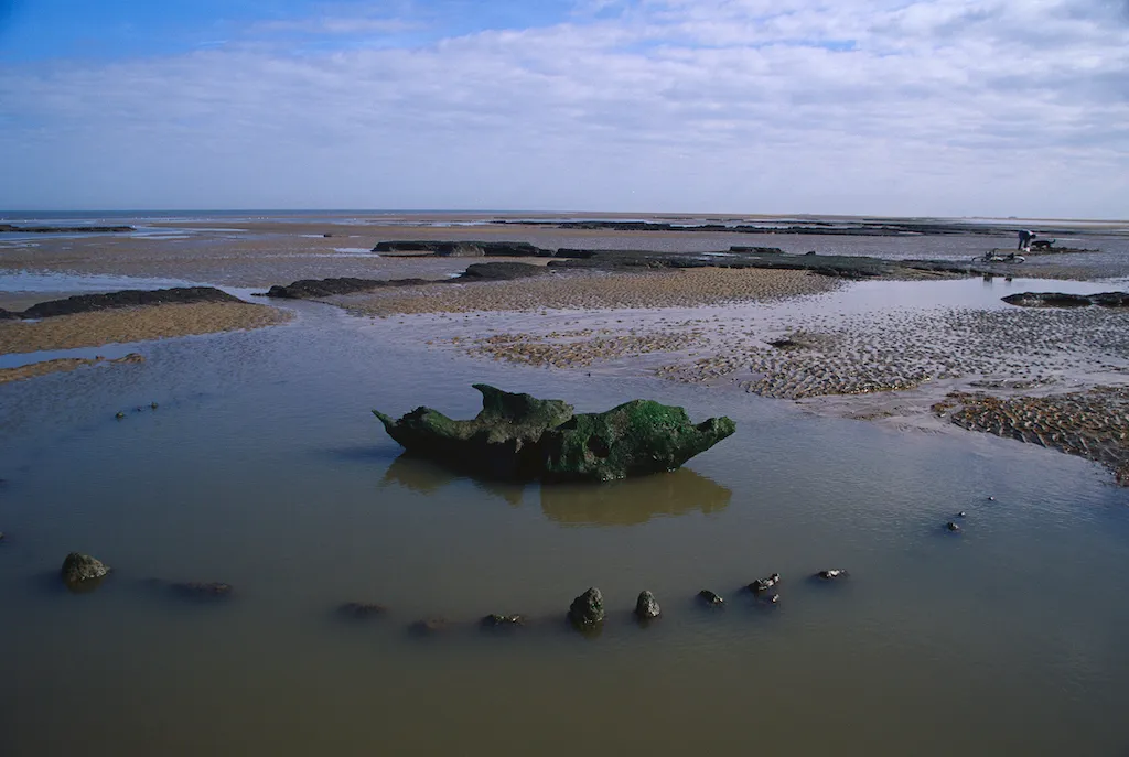 Ancient Monument Seahenge May Have Been Built to Fight Climate Change