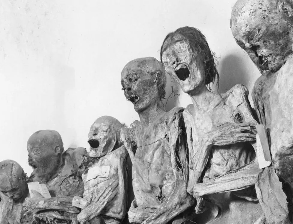 Mummy Dismembered During Museum Renovations in Mexico