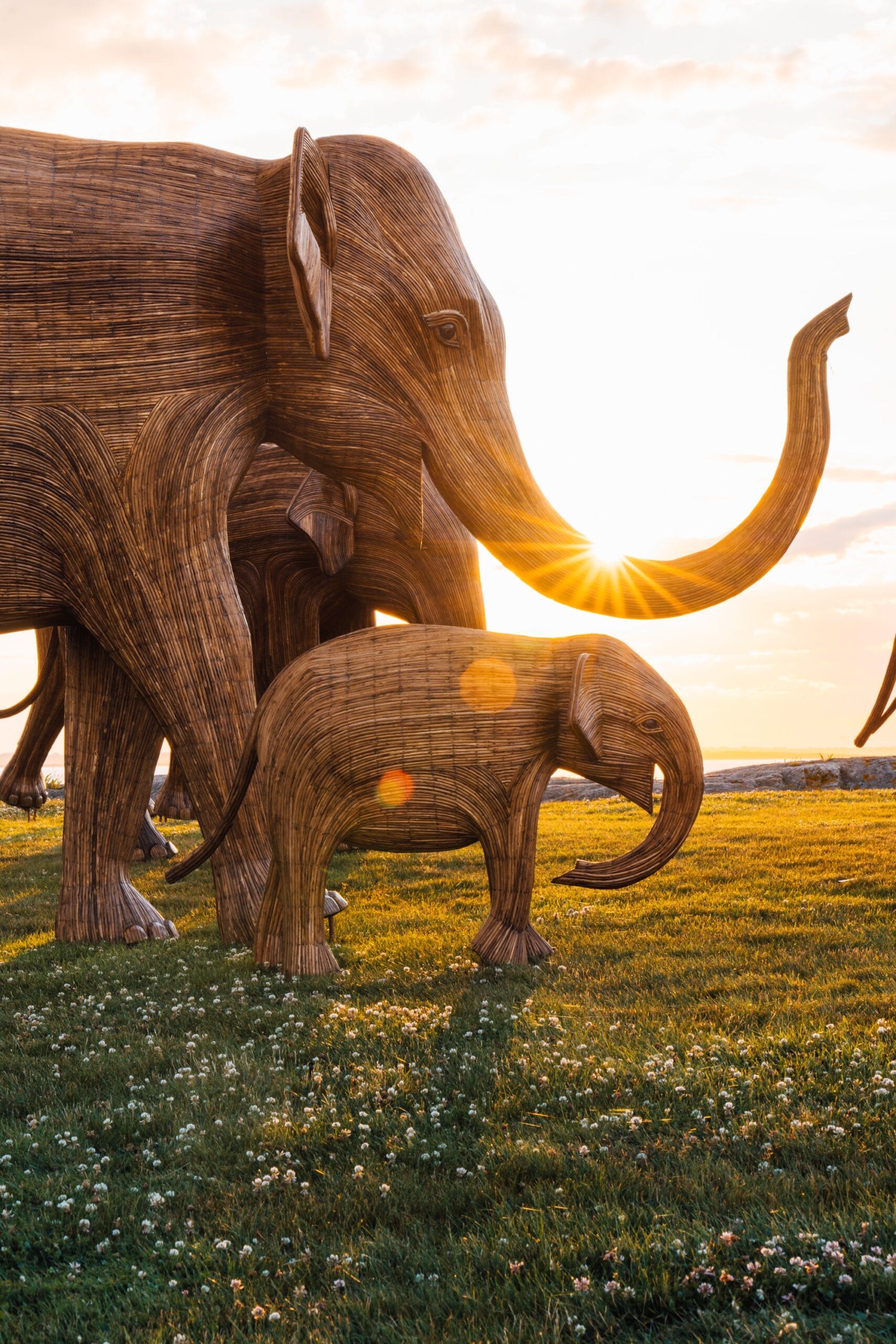 100 Life-Sized Elephants Lumber Along a Newport Cliff in a Global Conservation Project