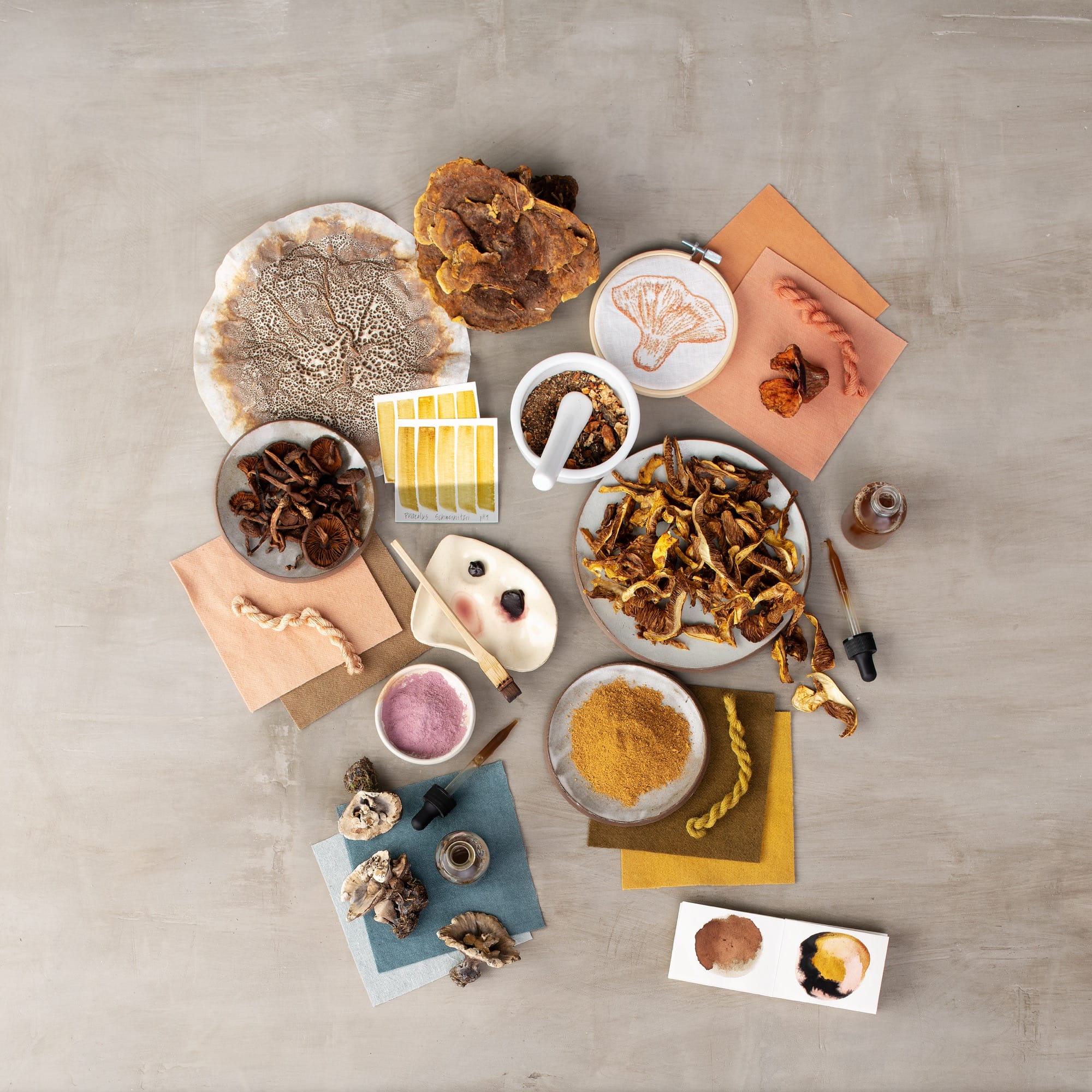 Learn to Forage and Process Your Own Natural Pigments with ‘The Mushroom Color Atlas’