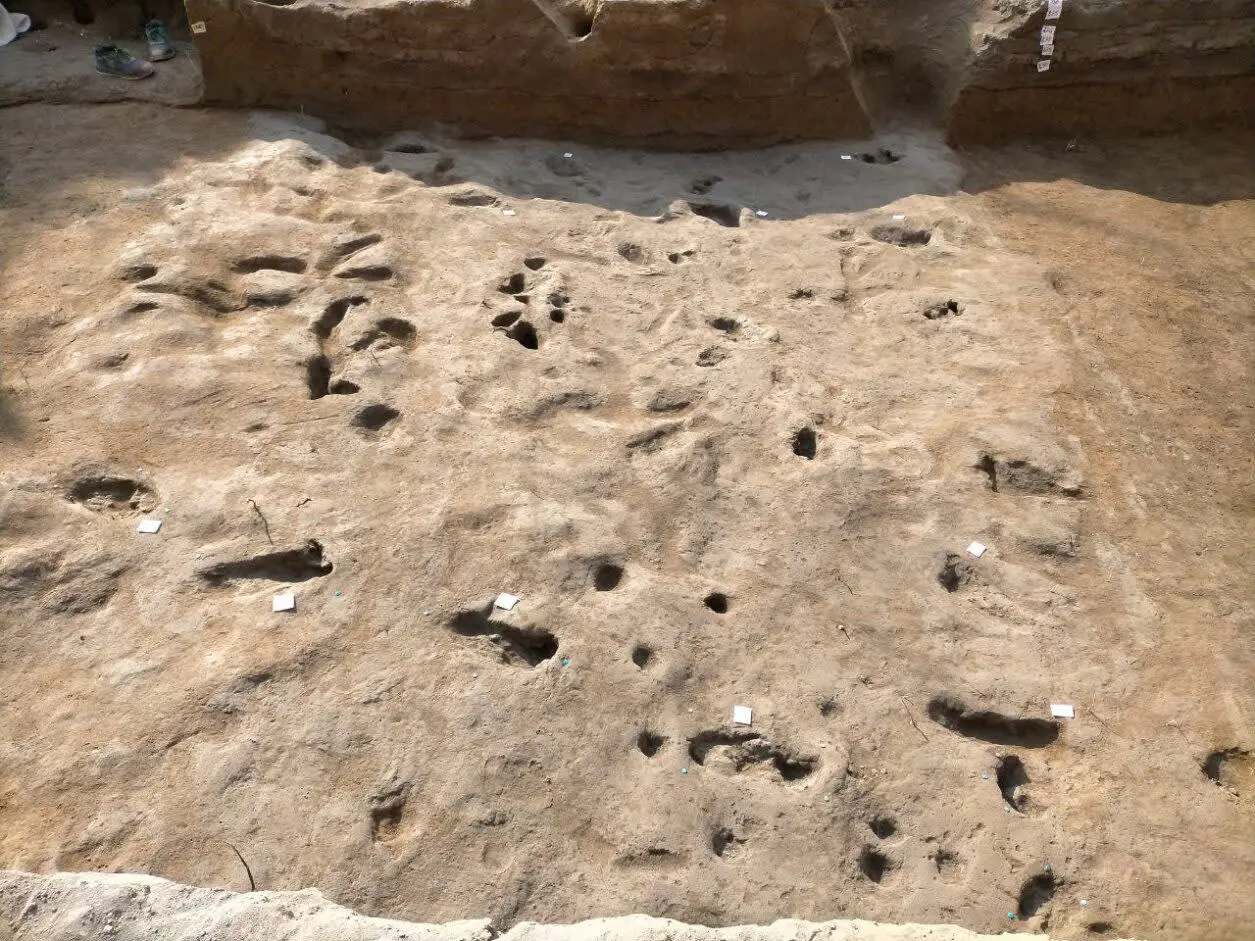 Bronze Age Footprints Preserved During Vesuvius Eruption Are Found in Italy