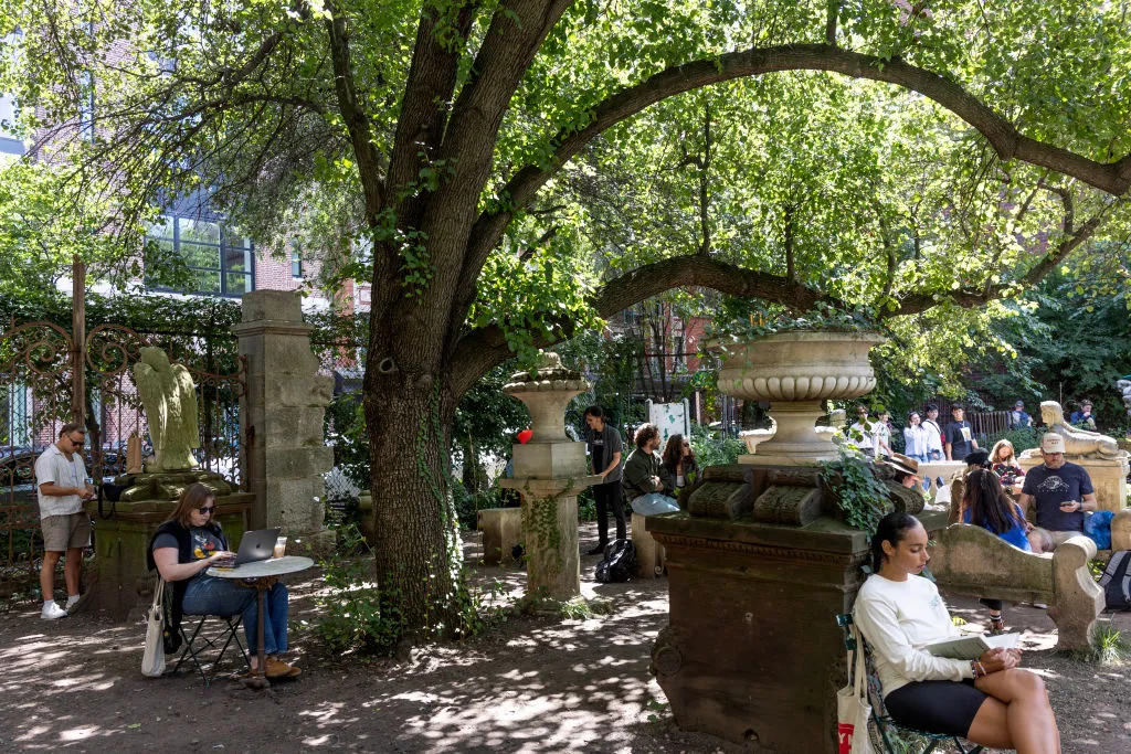 Manhattan Nonprofit Sues City to Halt Destruction of ‘Social Sculpture’ Garden