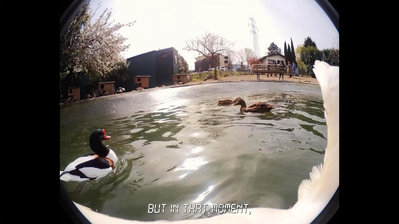 Influential Berlin Gallery Peres Projects Placed Under Insolvency