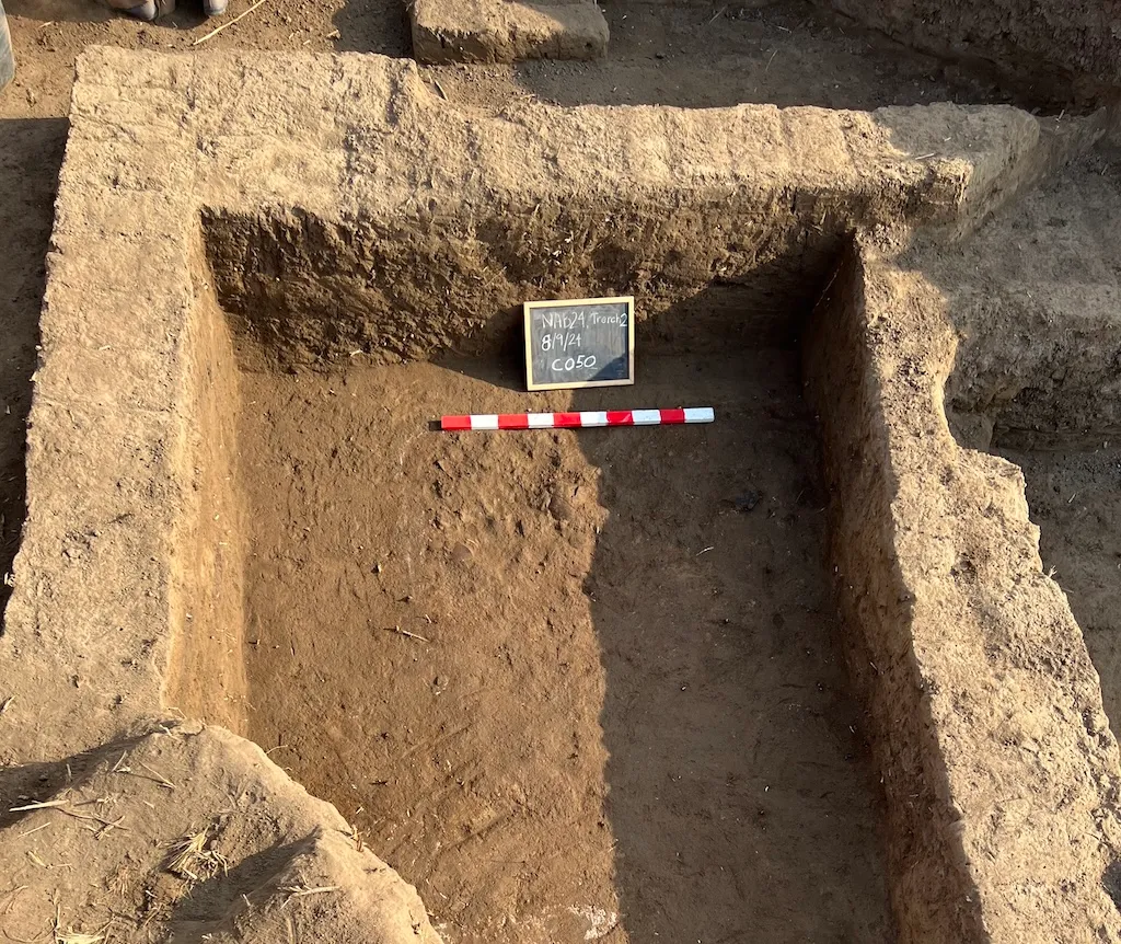 British Team Uncovers Lost Nile Delta City Built Around Temple and Trade