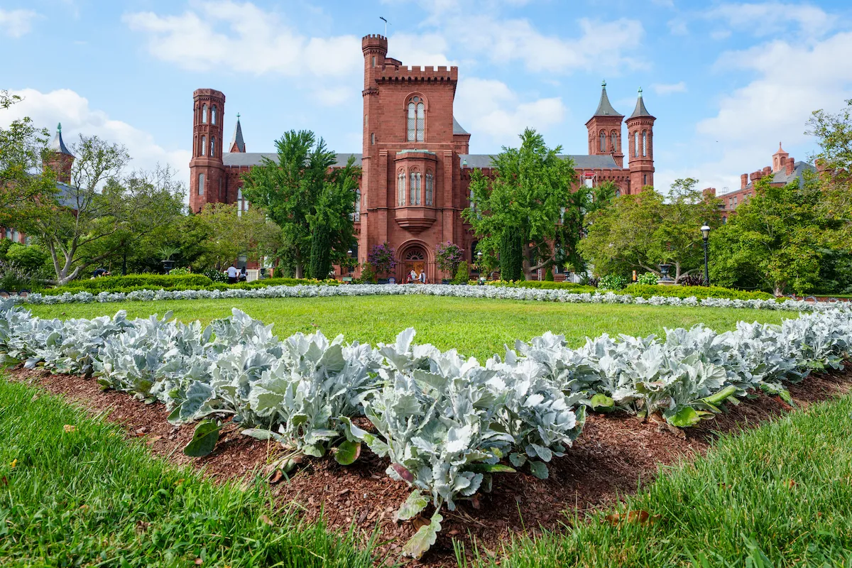 White House Targets Specific Artworks at Smithsonian, Including Painting of Refugees and Fauci Portrait