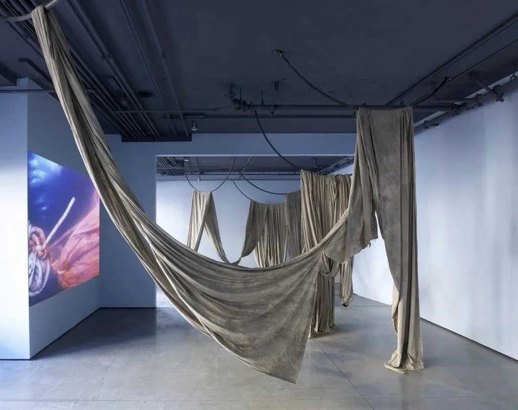 Kadist, Internationally Minded Art Organization, Shutters San Francisco Space After 14 Years