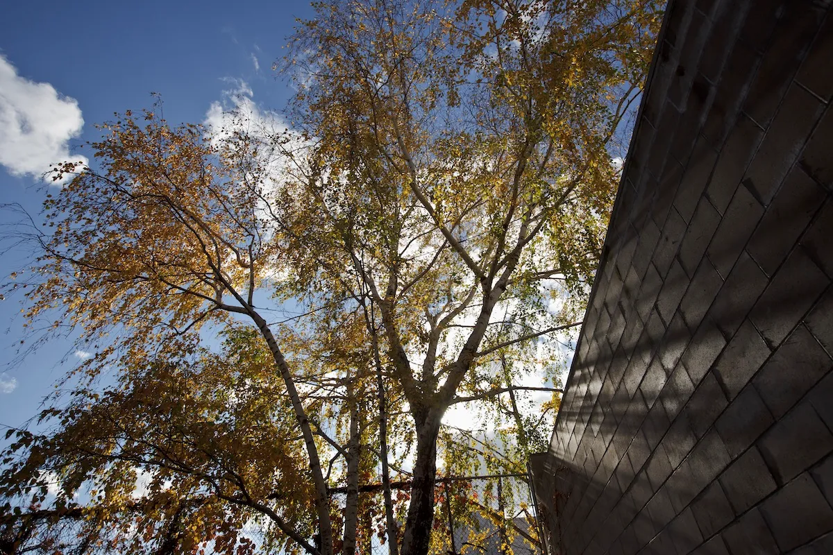 Isamu Noguchi Museum Names Award Winners, Whitney Acquires Digital Artworks, and More: Industry Moves for October 8, 2025