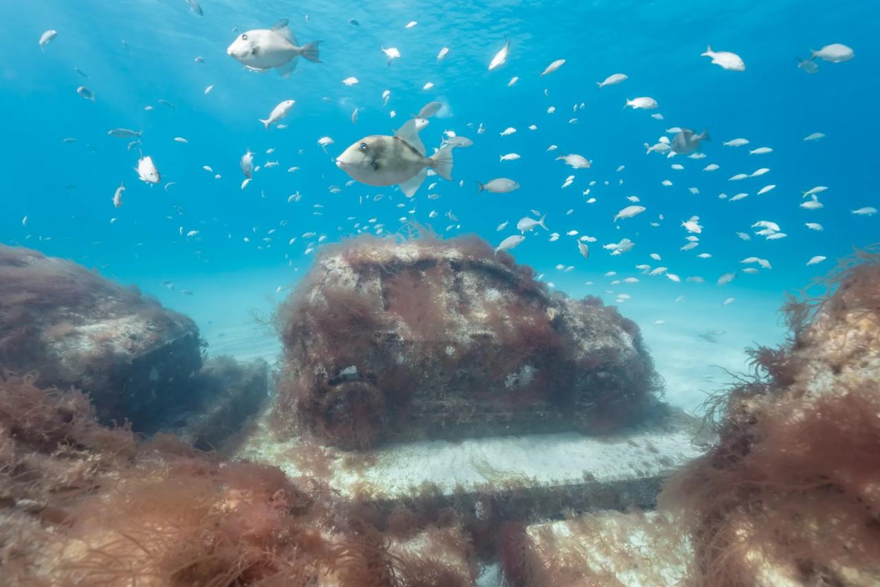 I Swam To See an Underwater Art Project Off Miami Beach That Imagines a Better Aquatic World